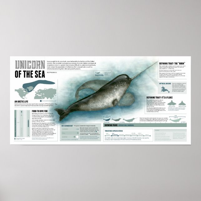 Poster Unicorne de la mer (Devant)