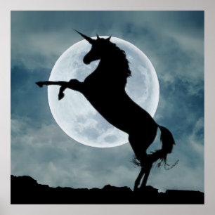 Poster Unicorne Silhouette Pleine lune Ciel de nuit, ZKOA