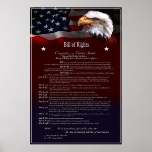 Poster United States of America BILL of Rights
