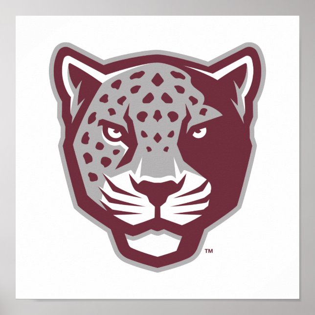 Poster Université Texas A&M de San Antonio | Jaguars (Devant)