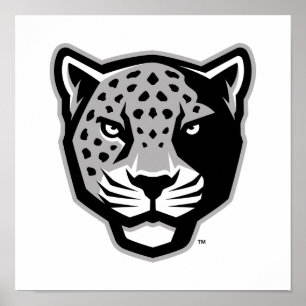 Poster Université Texas A&M de San Antonio Jaguars