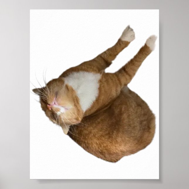 Poster Upside-Down Sunshine (Devant)