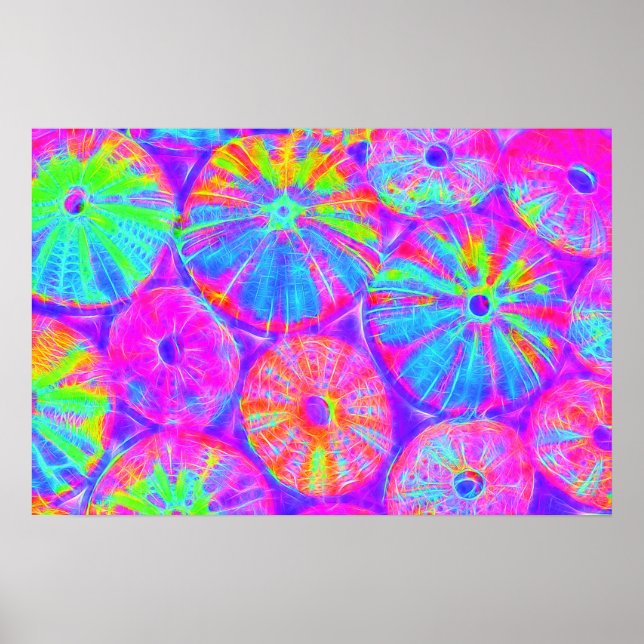 Poster Urchines psychédéliques (Devant)