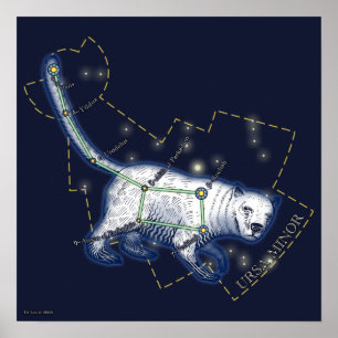 Poster Ursa Minor (affiche)