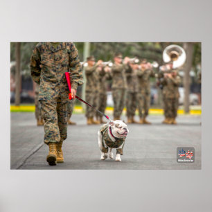 POSTER US MILITARY SERVICE DOG