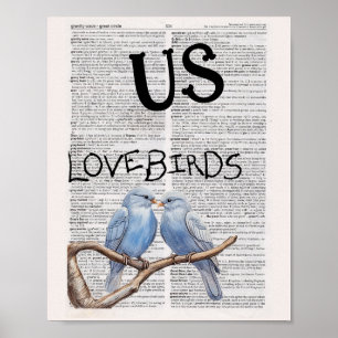 POSTER US — OISEAUX AMOUREUX
