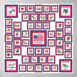 POSTER USA 50 FLEURS D'ÉTAT BLANC/559