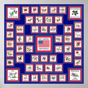 POSTER USA 50 FLEURS D'ÉTAT BLEU/558
