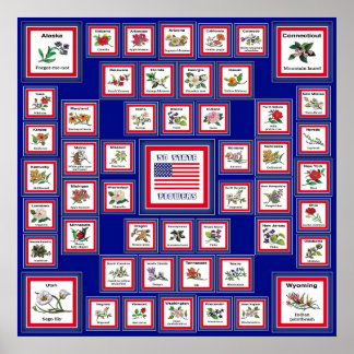 POSTER USA 50 FLEURS D'ÉTAT BLEU/558