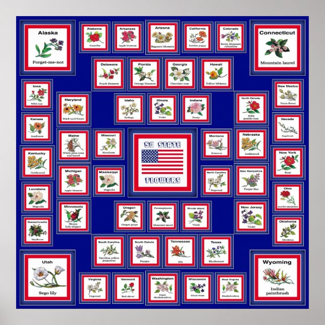 POSTER USA 50 FLEURS D'ÉTAT BLEU/558 (Devant)