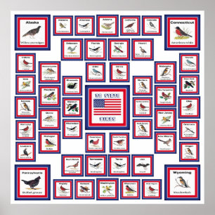 POSTER USA 50 OISEAUX D'ÉTAT BLANC/553