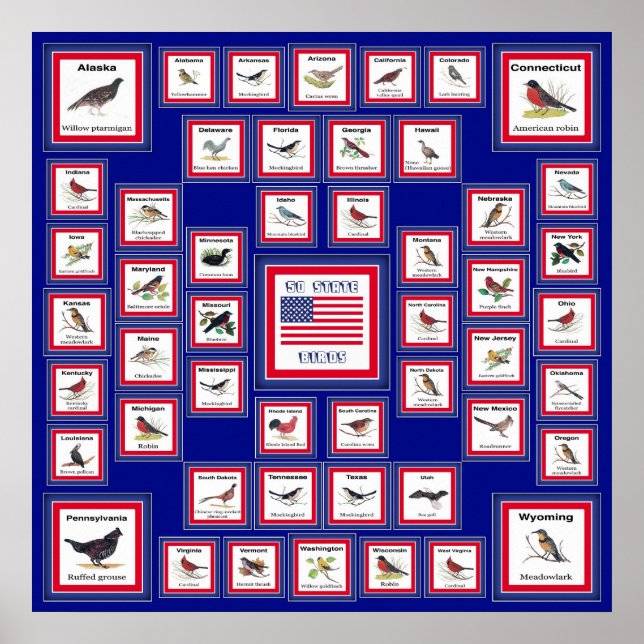 POSTER USA 50 STATE BIRDS BLUE/552 (Devant)
