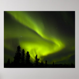 Poster USA, Alaska, Chena Hot Springs. Aurora Borealis 2