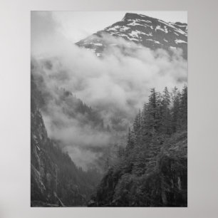 Poster USA, Alaska, Juneau, Rainforest couvre les fjords 