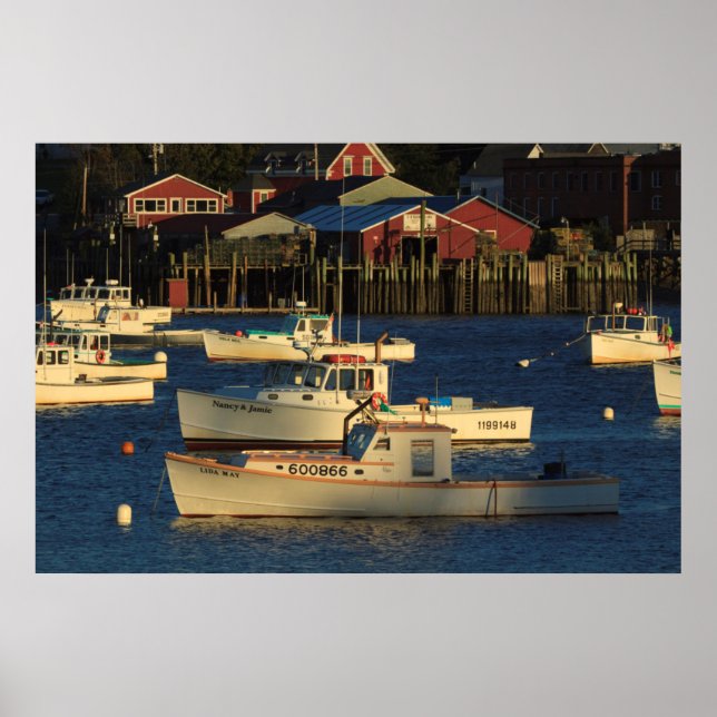 Poster USA, Amérique du Nord, Maine, Bernard, Pêche (Devant)