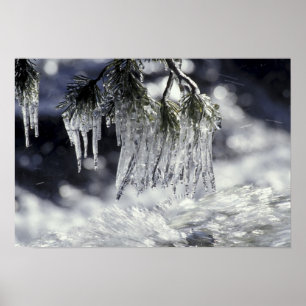 Poster USA, Californie, lac Tahoe. Icicules sur