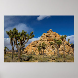 Poster USA, Californie, Parc national de Joshua Tree