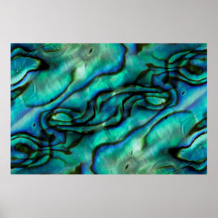 Poster USA, Colorado, Lafayette. Montage d'abalone