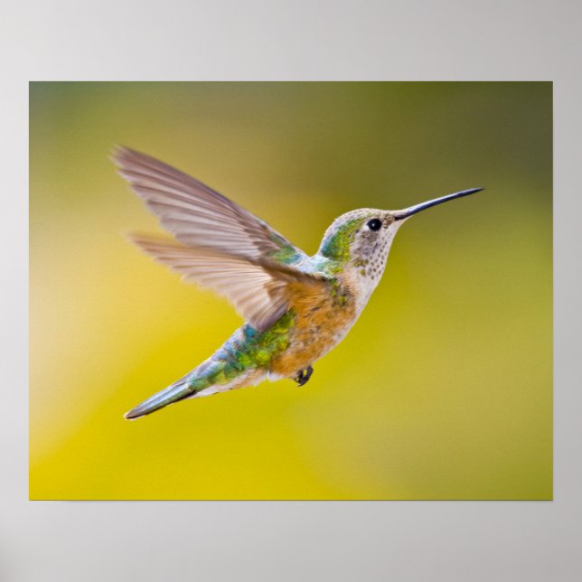 Poster USA, Colorado, Summit County, Heeney. Vue de côté (Devant)