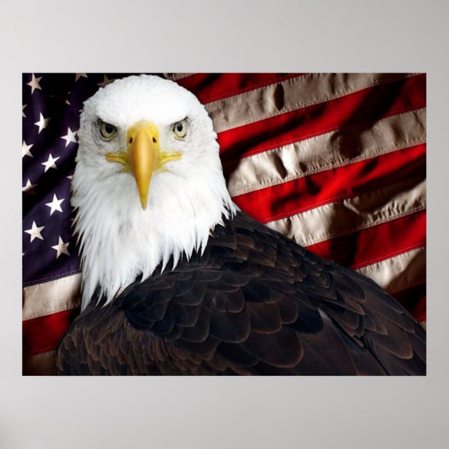 Poster USA Eagle Patriotique (Devant)