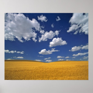 Poster USA, Etat de Washington, Colfax. Réunion d'orge mû