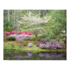 USA, Géorgie, Pine Mountain. Un mélange de