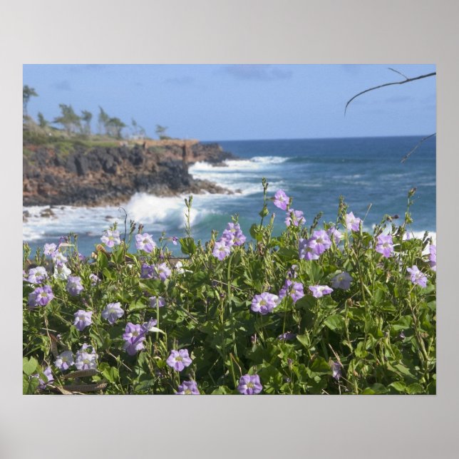 Poster USA, Hawaii, Kauai, près de Kapaa, nord-ouest (Devant)