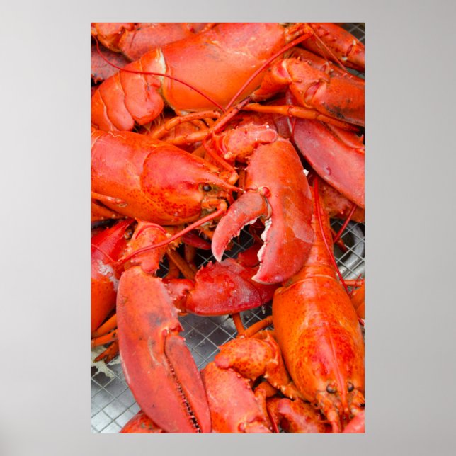 Poster USA, Massachusetts, Martha's Vineyard (Devant)