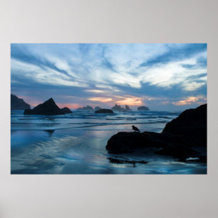 Poster USA, Oregon, Bandon Beach. Mouette sur pierre