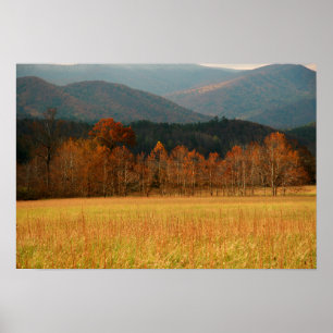 Poster USA, Tennessee. Cades Cove Dans Smoky Mountain