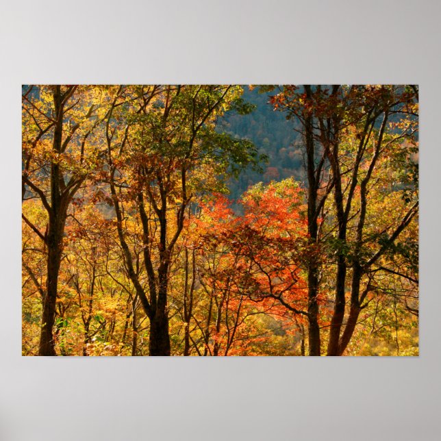 Poster USA, Tennessee. Folithe d'automne (Devant)