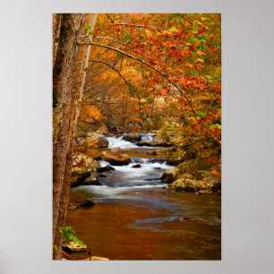 Poster USA, Tennessee. Rushing Mountain Creek