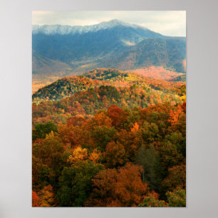 Poster USA, Tennessee. Vue Du Mont Leconte Neige