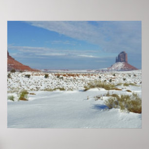 Poster USA, Utah, Monument Valley. Sagebrush