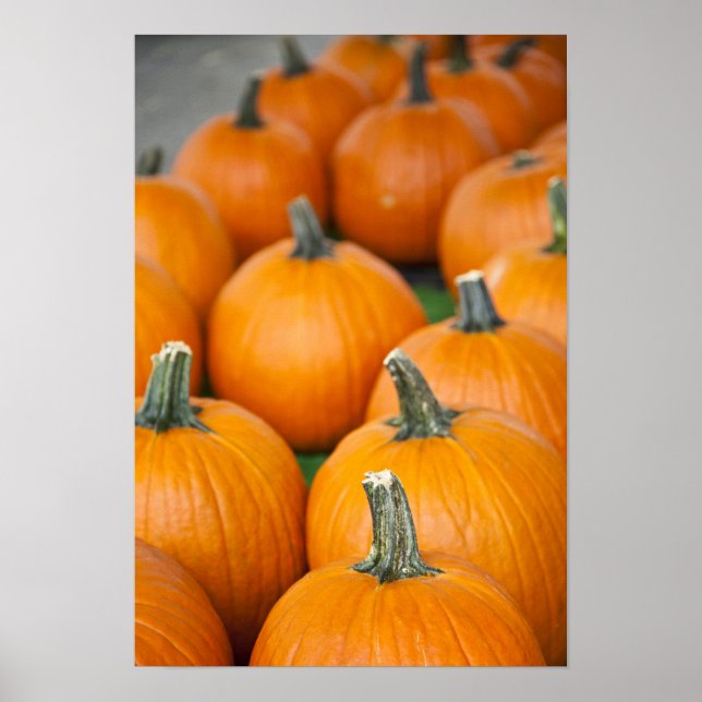 Poster USA, Virginie-Occidentale, Charleston. Capitole 2 (Devant)