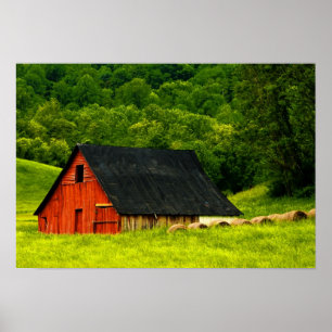 Poster USA, Virginie, Shenandoah National Park, 2