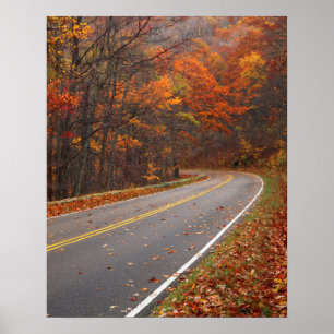 Poster USA, Virginie, Shenandoah National Park, Skyline