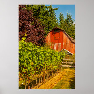 Poster USA, Washington, Whidbey Island. Winery