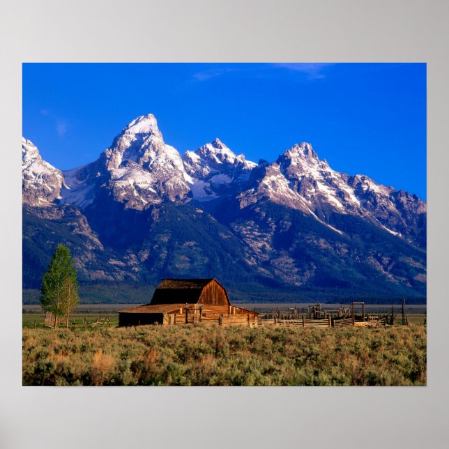 Poster USA, Wyoming, Grand Teton National Park, Matin (Devant)
