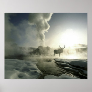 Poster USA, Wyoming, Parc National de Yellowstone. Soleil