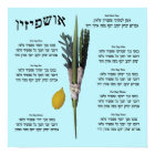Ushpizin & Arba Minim (4 espèces)