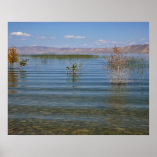 Poster UT, Bear Lake