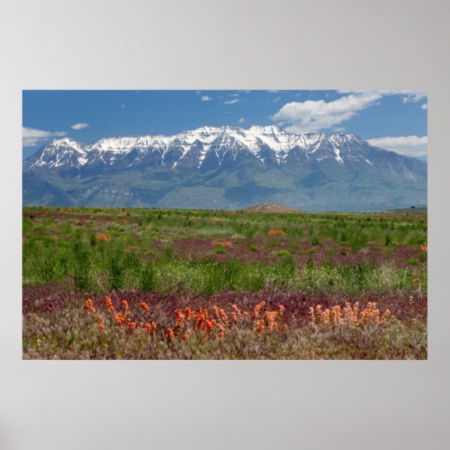 Poster Utah, USA. Le mont Timpanogos s'élève au-dessus (Devant)