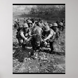 Poster Utilisant chaque image means_War disponible