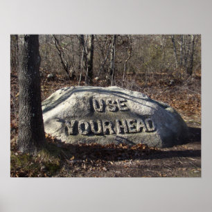 Poster Utilisez votre tête Babson Boulder