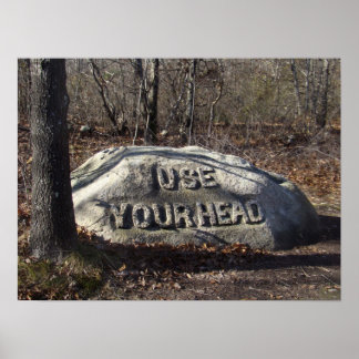 Poster Utilisez votre tête Babson Boulder