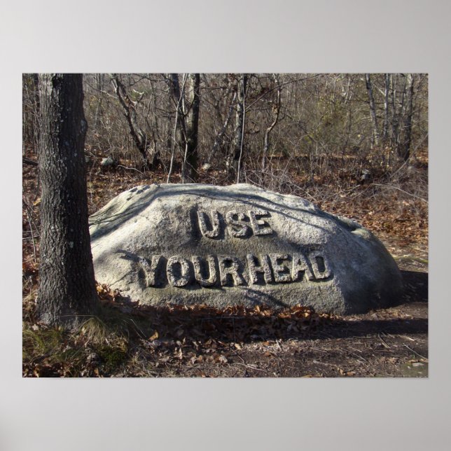 Poster Utilisez votre tête Babson Boulder (Devant)