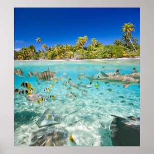 Poster Vacances exotiques