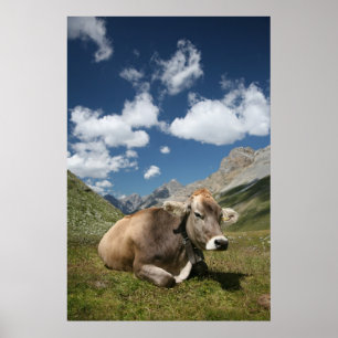 Poster Vache