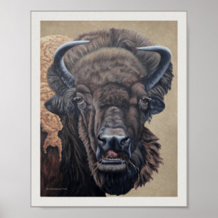 Poster Vache de bison bison mangeant Tan